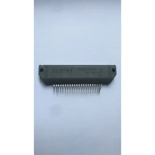 RSN313H25 B HİBRİD ENTEGRE MODÜL
